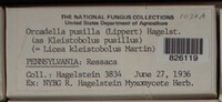 Image Associated With the Occurence